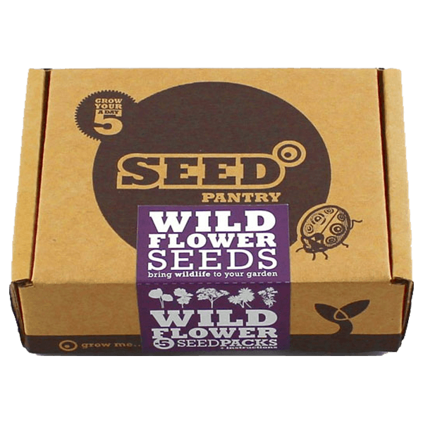Seeds Boxes image