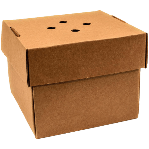 Burger Boxes image