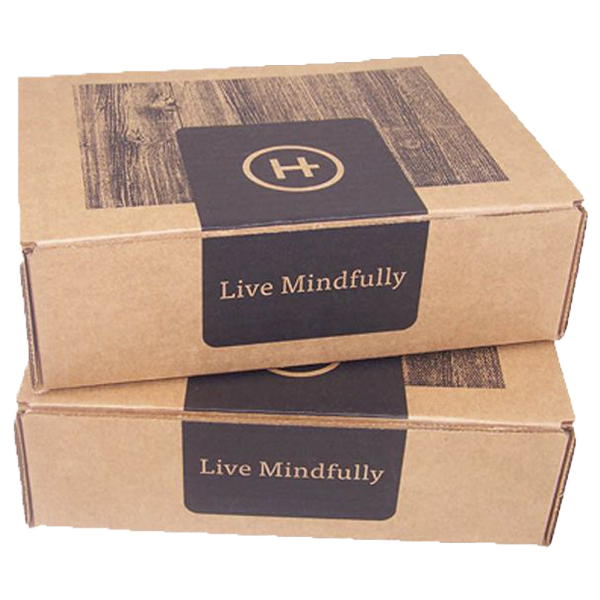 2-Self-Seal-Subscription-Mailer-boxes