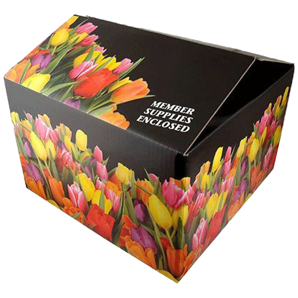 Flower Shipping Boxes image