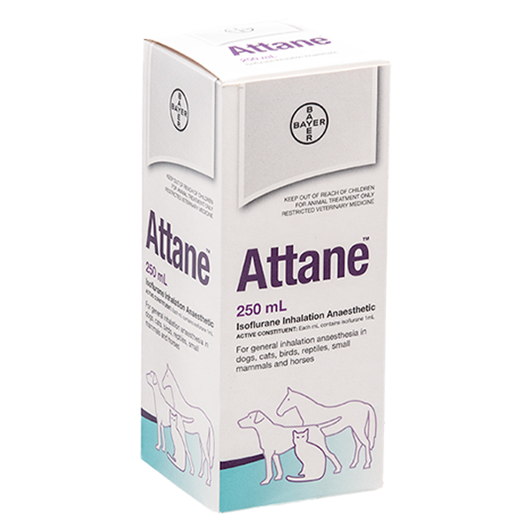 Long-Veterinary-Medicine-boxes