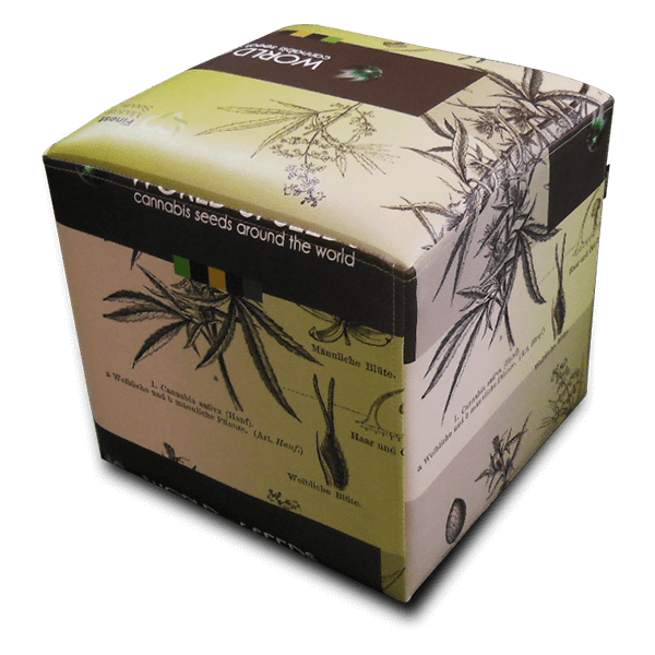 Square-Cannabis-Seed-boxes