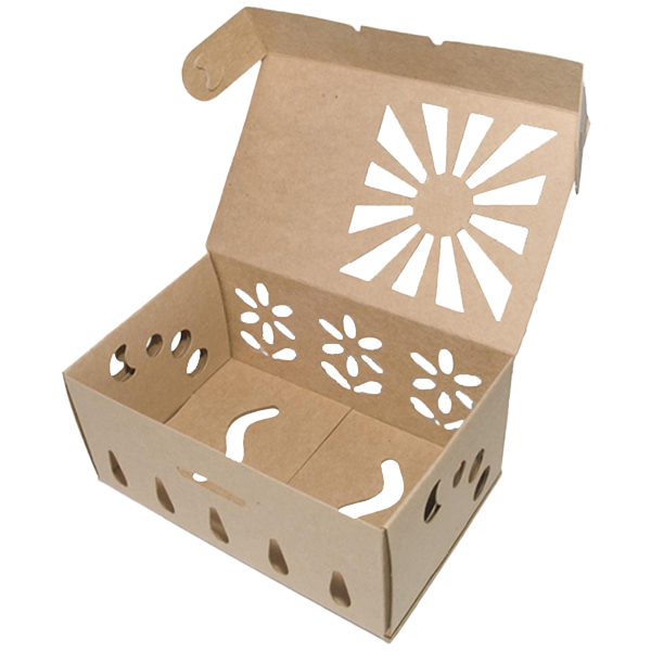 WIndow-Clamshell-Style-Soap-boxes