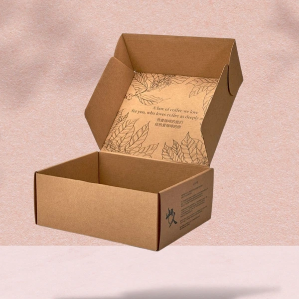  Kraft Boxes 